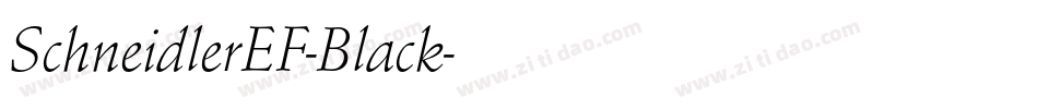 SchneidlerEF-Black字体转换