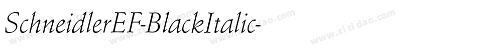 SchneidlerEF-BlackItalic字体转换