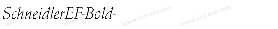 SchneidlerEF-Bold字体转换