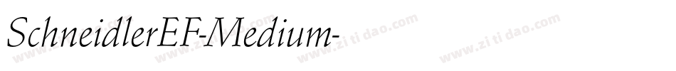 SchneidlerEF-Medium字体转换