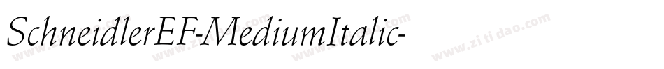 SchneidlerEF-MediumItalic字体转换