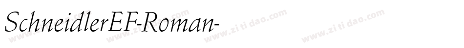 SchneidlerEF-Roman字体转换