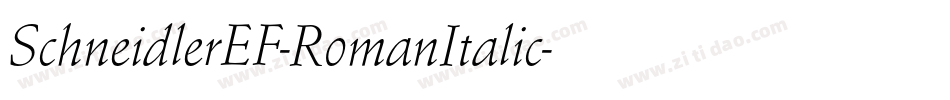 SchneidlerEF-RomanItalic字体转换