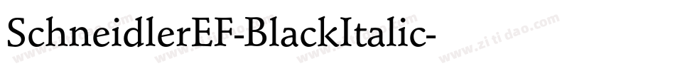 SchneidlerEF-BlackItalic字体转换