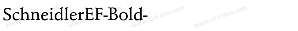 SchneidlerEF-Bold字体转换