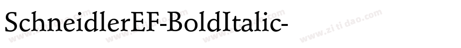 SchneidlerEF-BoldItalic字体转换