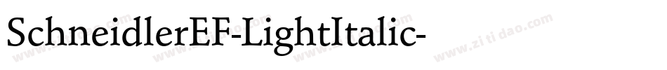 SchneidlerEF-LightItalic字体转换