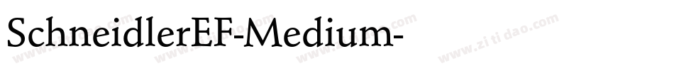 SchneidlerEF-Medium字体转换