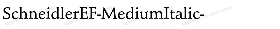 SchneidlerEF-MediumItalic字体转换
