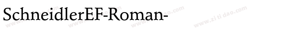SchneidlerEF-Roman字体转换