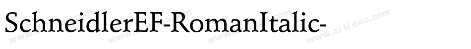 SchneidlerEF-RomanItalic字体转换