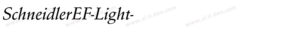 SchneidlerEF-Light字体转换