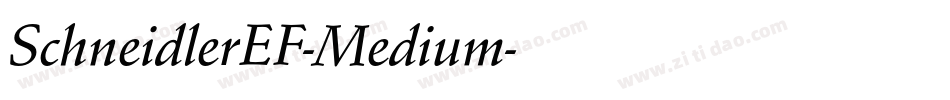 SchneidlerEF-Medium字体转换