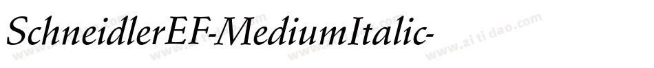 SchneidlerEF-MediumItalic字体转换