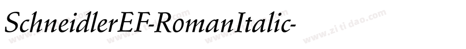 SchneidlerEF-RomanItalic字体转换