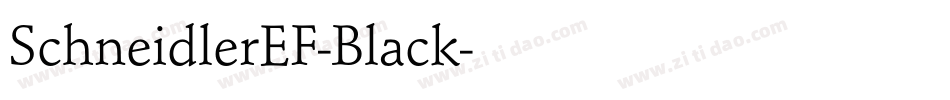 SchneidlerEF-Black字体转换
