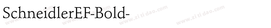 SchneidlerEF-Bold字体转换