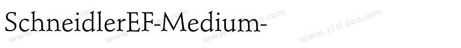 SchneidlerEF-Medium字体转换