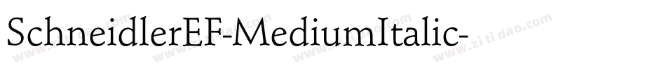SchneidlerEF-MediumItalic字体转换