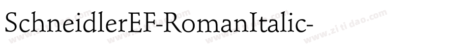 SchneidlerEF-RomanItalic字体转换