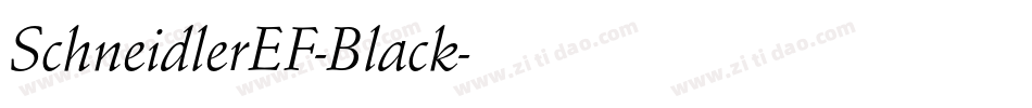 SchneidlerEF-Black字体转换