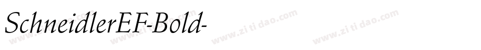 SchneidlerEF-Bold字体转换