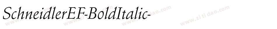 SchneidlerEF-BoldItalic字体转换