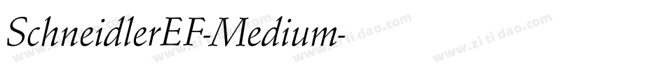 SchneidlerEF-Medium字体转换