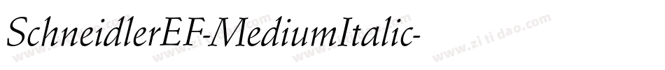 SchneidlerEF-MediumItalic字体转换