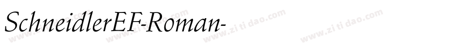 SchneidlerEF-Roman字体转换