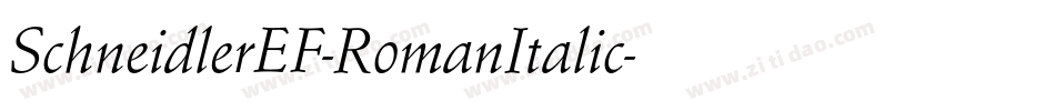 SchneidlerEF-RomanItalic字体转换