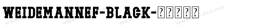 WeidemannEF-Black字体转换