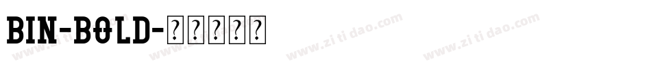BIN-BOLD字体转换
