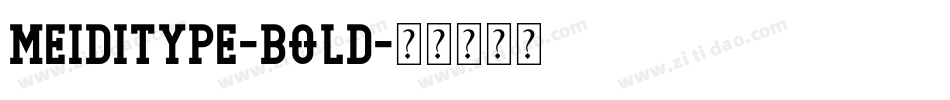 MEIDITYPE-BOLD字体转换