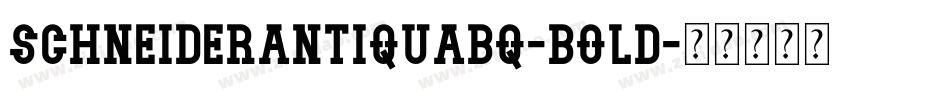 SchneiderAntiquaBQ-Bold字体转换