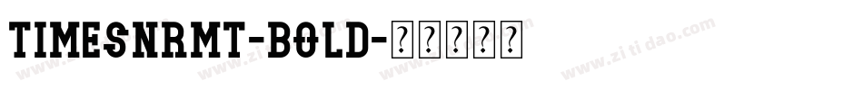 TimesNRMT-Bold字体转换