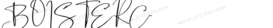 BOISTERC字体转换