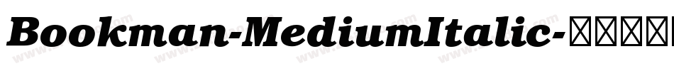 Bookman-MediumItalic字体转换
