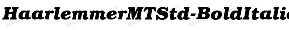 HaarlemmerMTStd-BoldItalic字体转换
