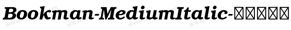 Bookman-MediumItalic字体转换