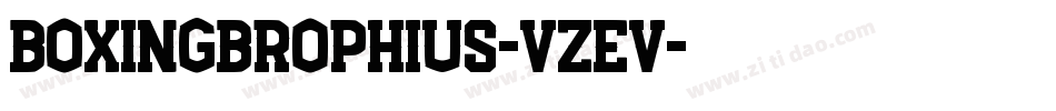 BoxingBrophius-VzEV字体转换