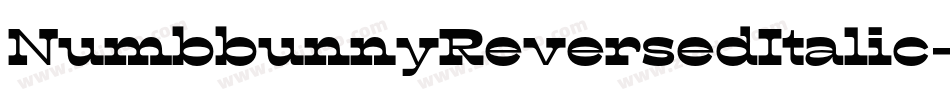 NumbbunnyReversedItalic-Ze9B字体转换