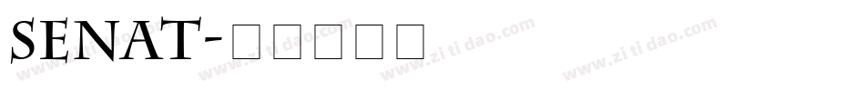 SENAT字体转换