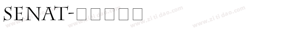 SENAT字体转换