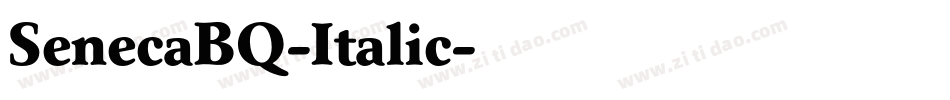SenecaBQ-Italic字体转换