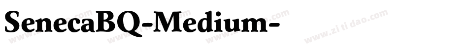 SenecaBQ-Medium字体转换