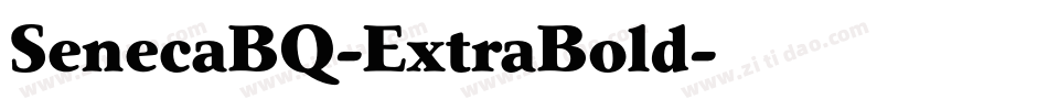SenecaBQ-ExtraBold字体转换