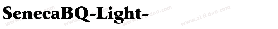 SenecaBQ-Light字体转换