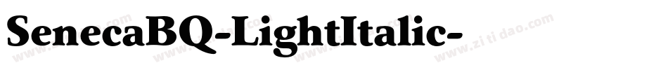 SenecaBQ-LightItalic字体转换