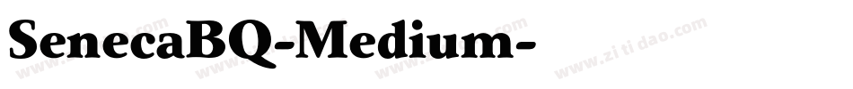 SenecaBQ-Medium字体转换